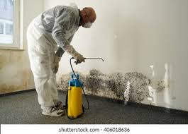 Best Mold Removal for HVAC Installations  in Taylor, PA